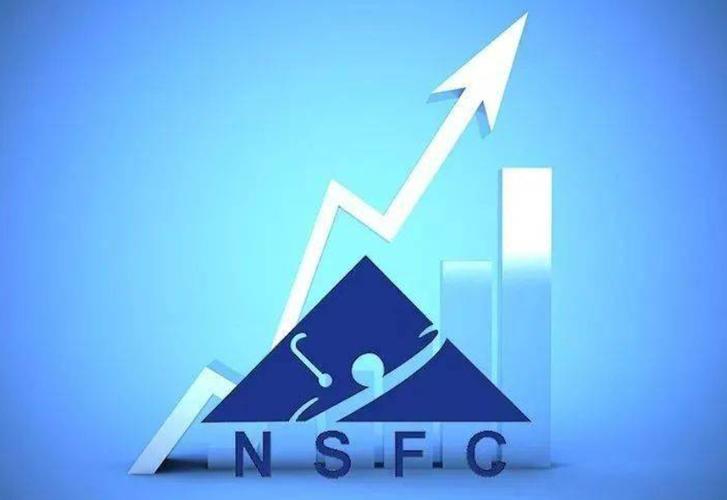 自然科學基金面上項目寫年度研究計劃和預期成果要注意什么